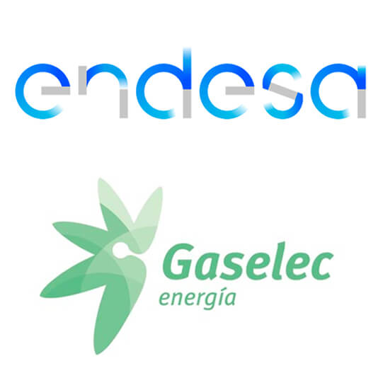 Endesa-Gaselec